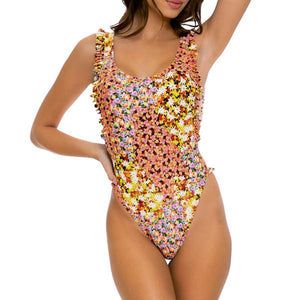 Multicolor-L231-L10-111