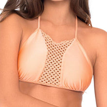 Sea Shell-L466-237-413